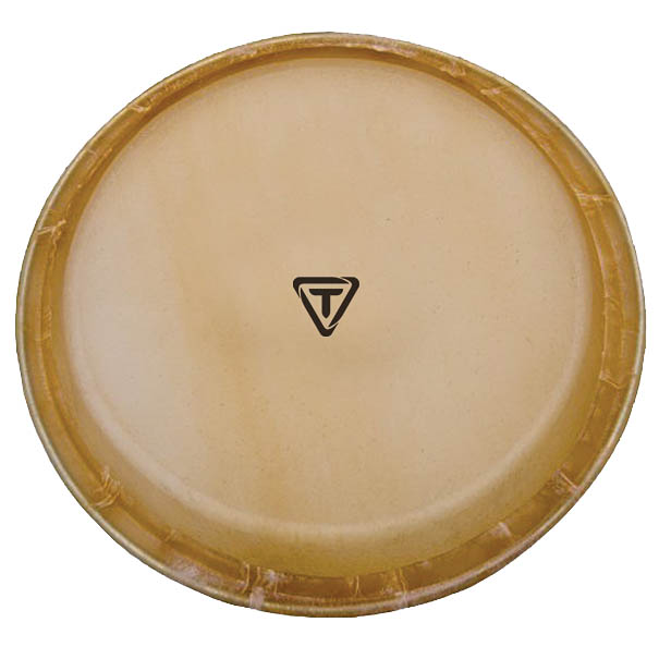 Artist Series Replacement Conga Head 11 inch.