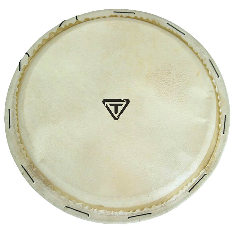 Traditional Series Replacement Djembe Head 12 inch. Willis Music Store